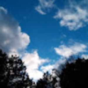 Meet your Posher, Francisca